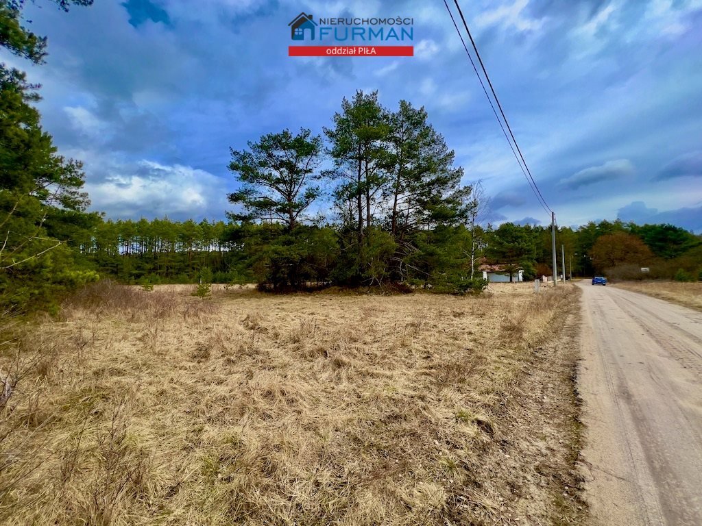Działka budowlana na sprzedaż Czechyń  1 699m2 Foto 3