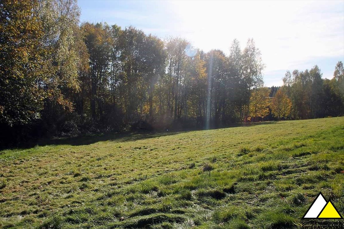 Działka rolna na sprzedaż Antoniów, Antoniów  2 000m2 Foto 1