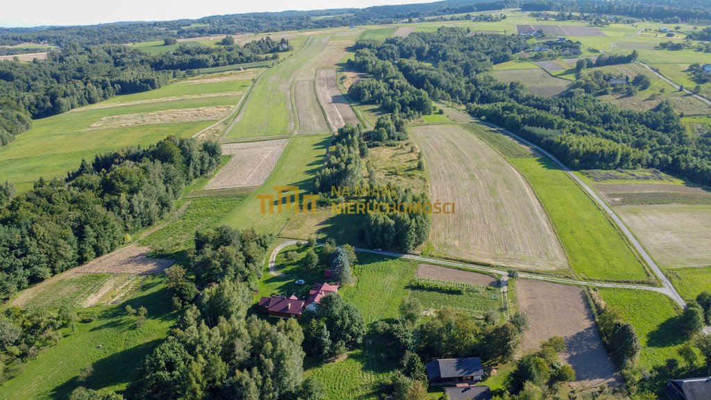 Działka budowlana na sprzedaż Białka  16 500m2 Foto 9