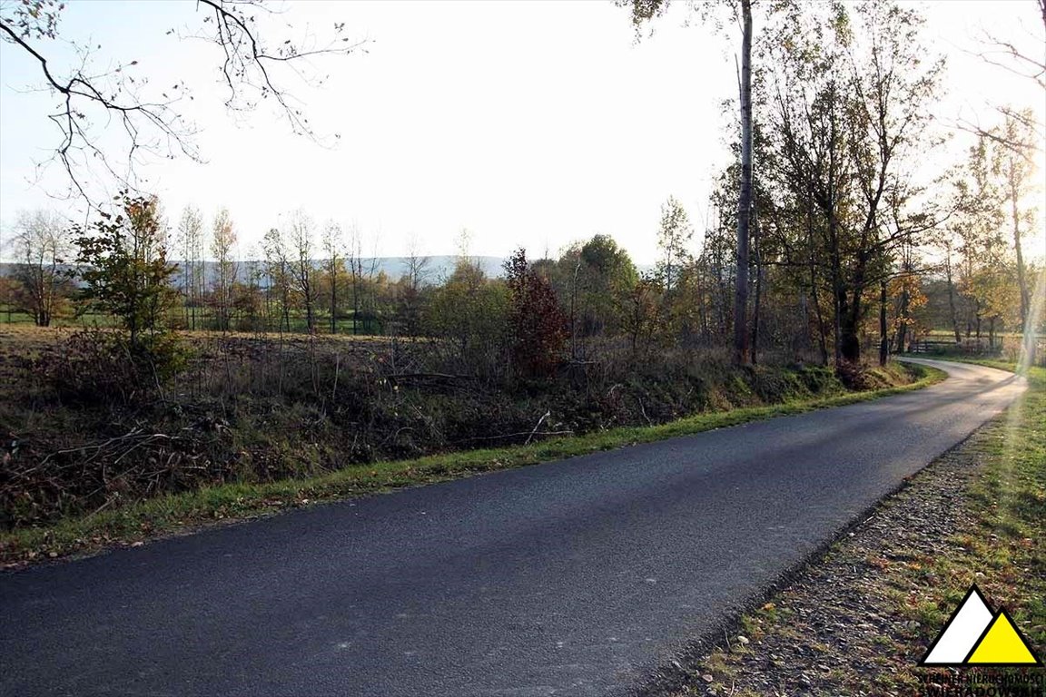 Działka budowlana na sprzedaż Rębiszów, Rębiszów  1 000m2 Foto 4