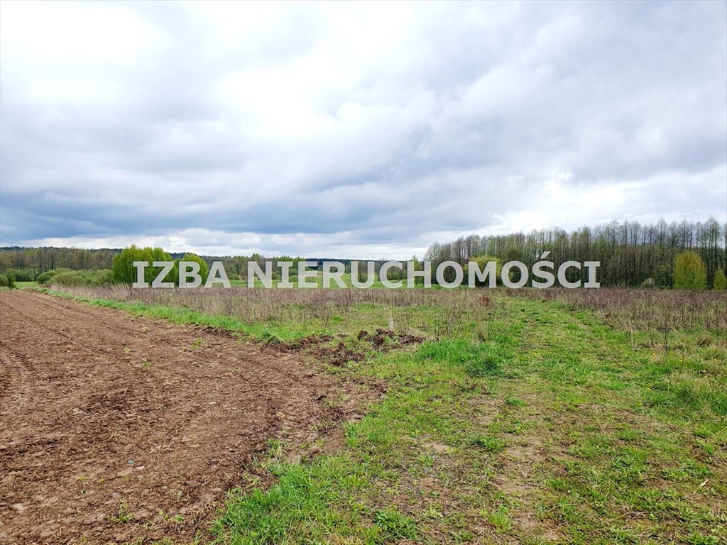 Działka rekreacyjna na sprzedaż Krokocie  3 000m2 Foto 17