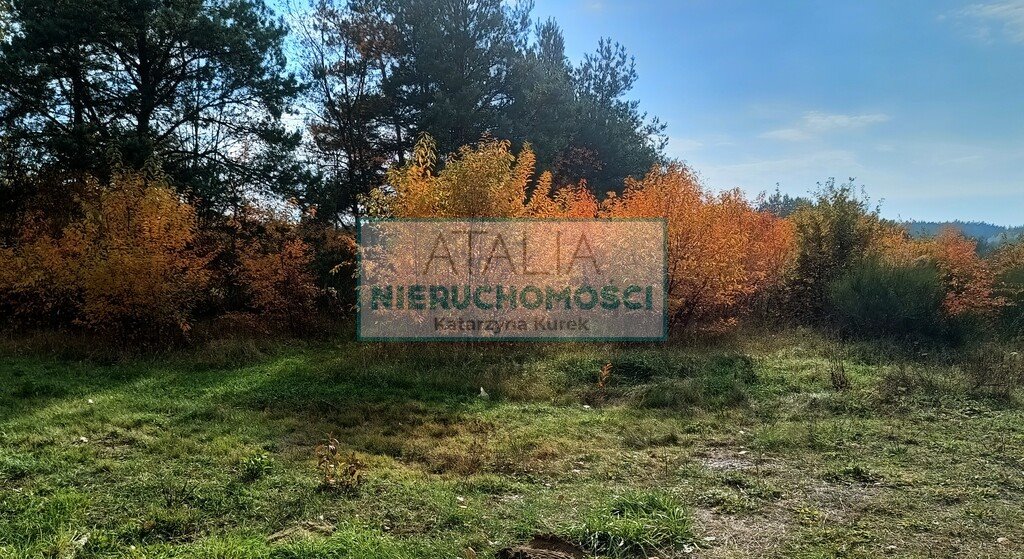 Działka 24 000 m² z dojazdem asfaltowym i prądem - polecam! Piotrkowice  24 000m2 Foto 1