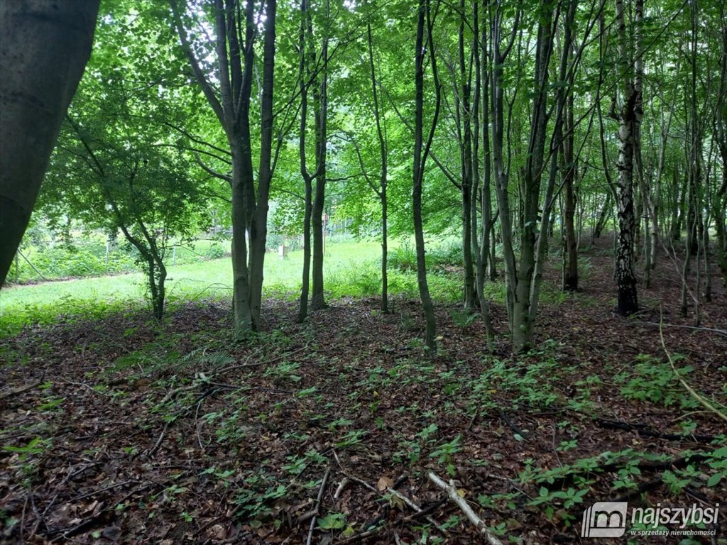 Działka inna na sprzedaż Dargocice, Dargocice 28c  1 090m2 Foto 17