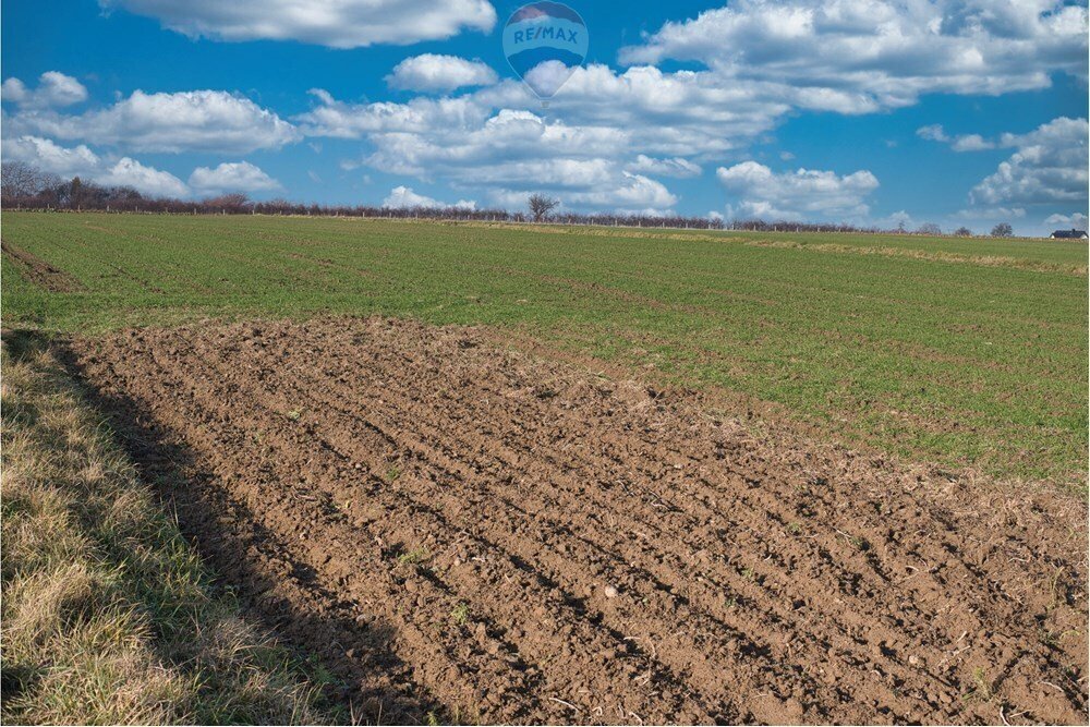 Działka przemysłowo-handlowa na sprzedaż Świdnik Duży, Świdnik Duży Drugi  7 100m2 Foto 6