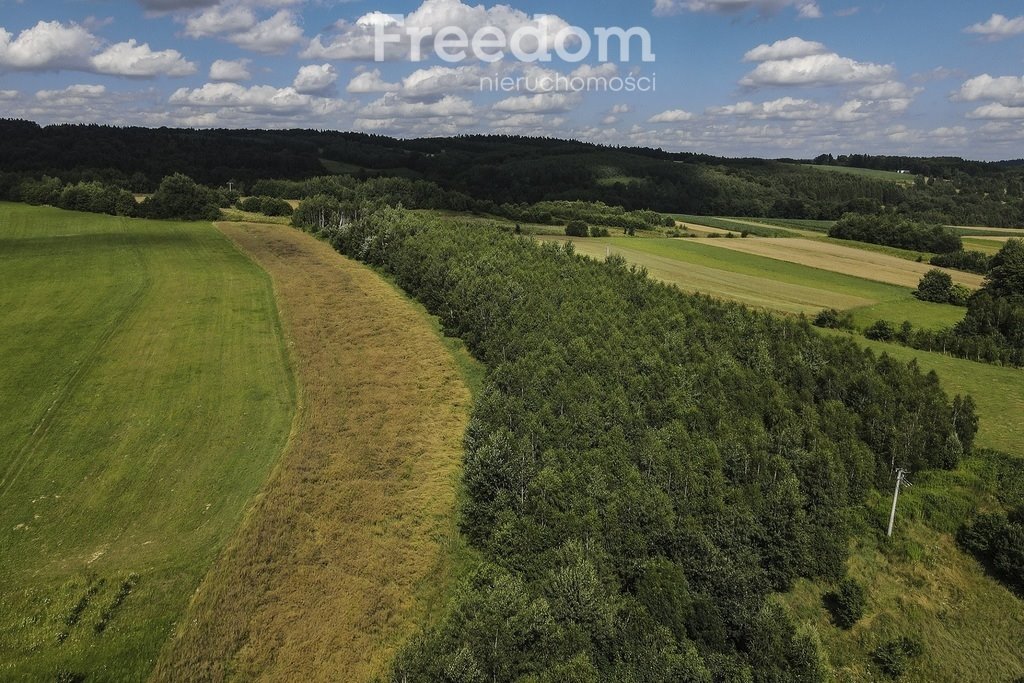 Działka budowlana na sprzedaż Harta  7 549m2 Foto 6