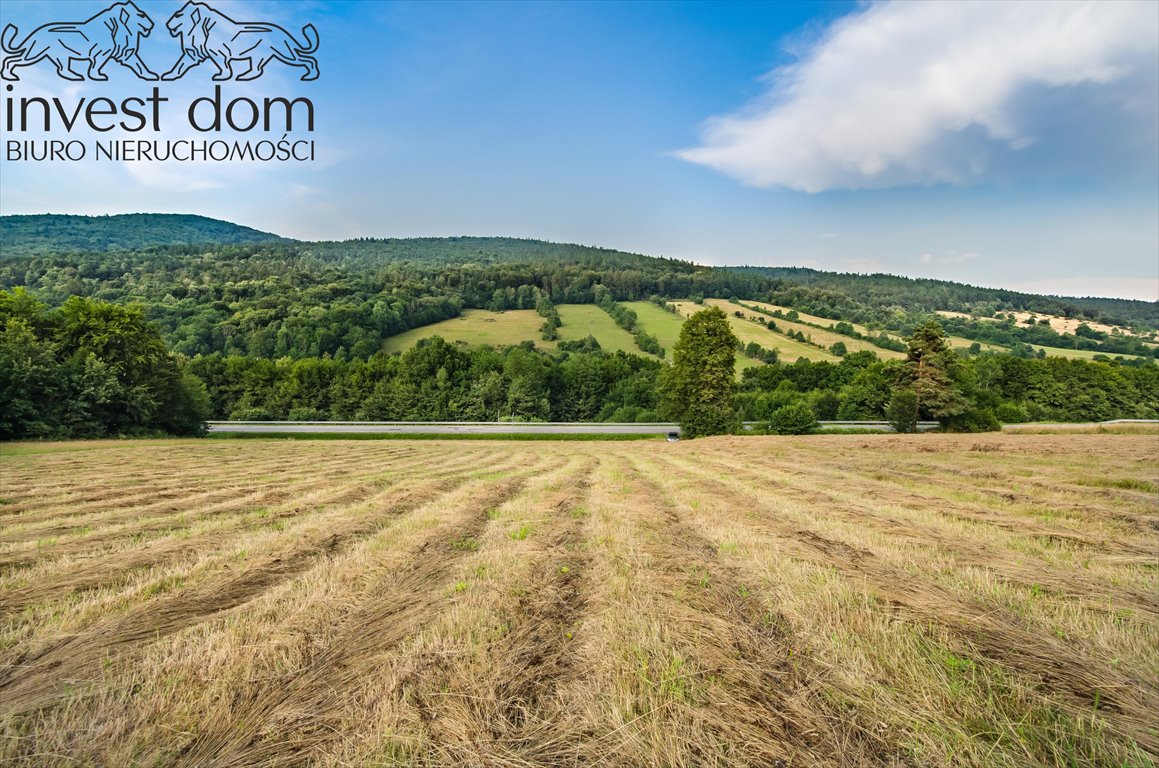 Działka budowlana na sprzedaż Małastów  24 800m2 Foto 5