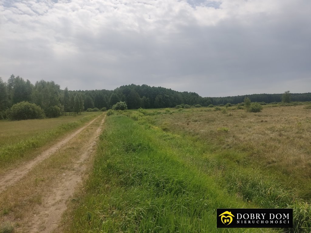 Działka rolna na sprzedaż Istok  18 000m2 Foto 1