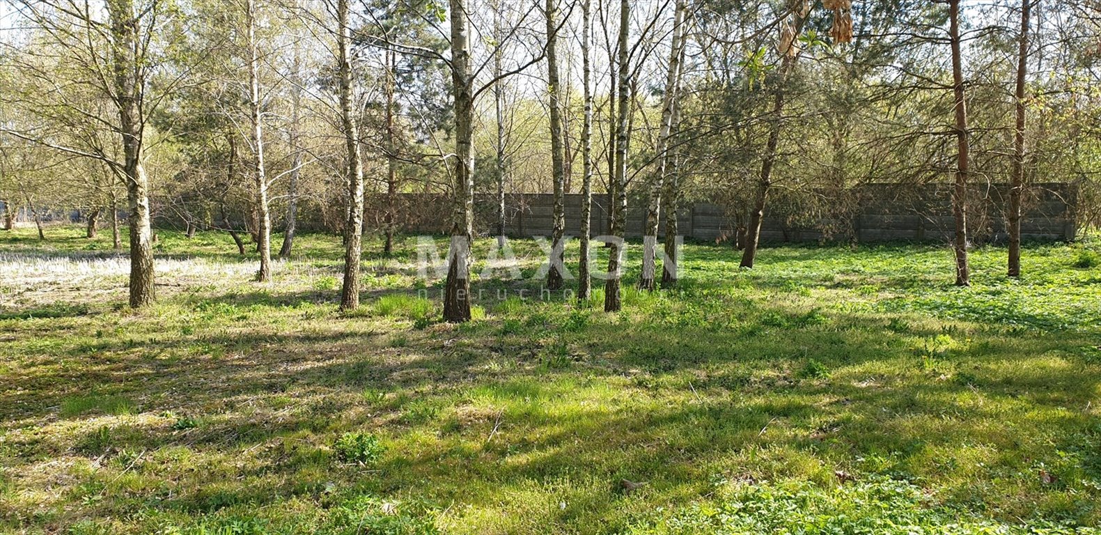 Działka budowlana na sprzedaż Borzęcin Duży  20 000m2 Foto 7