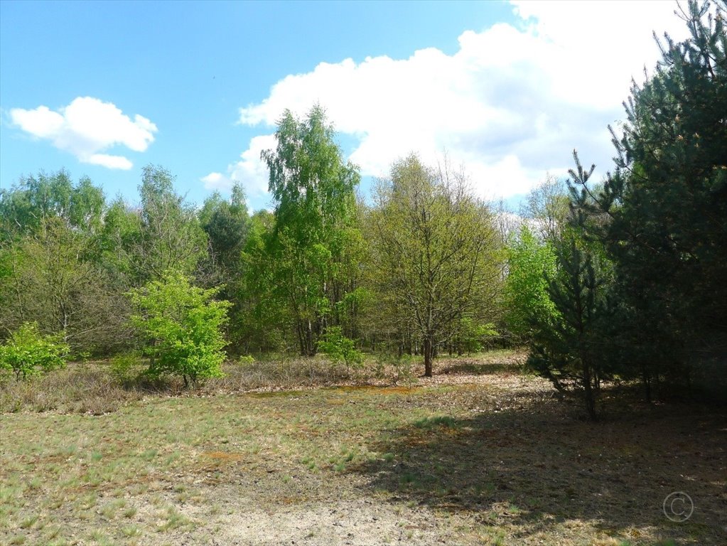 Działka rolna na sprzedaż Władysławów  11 722m2 Foto 17