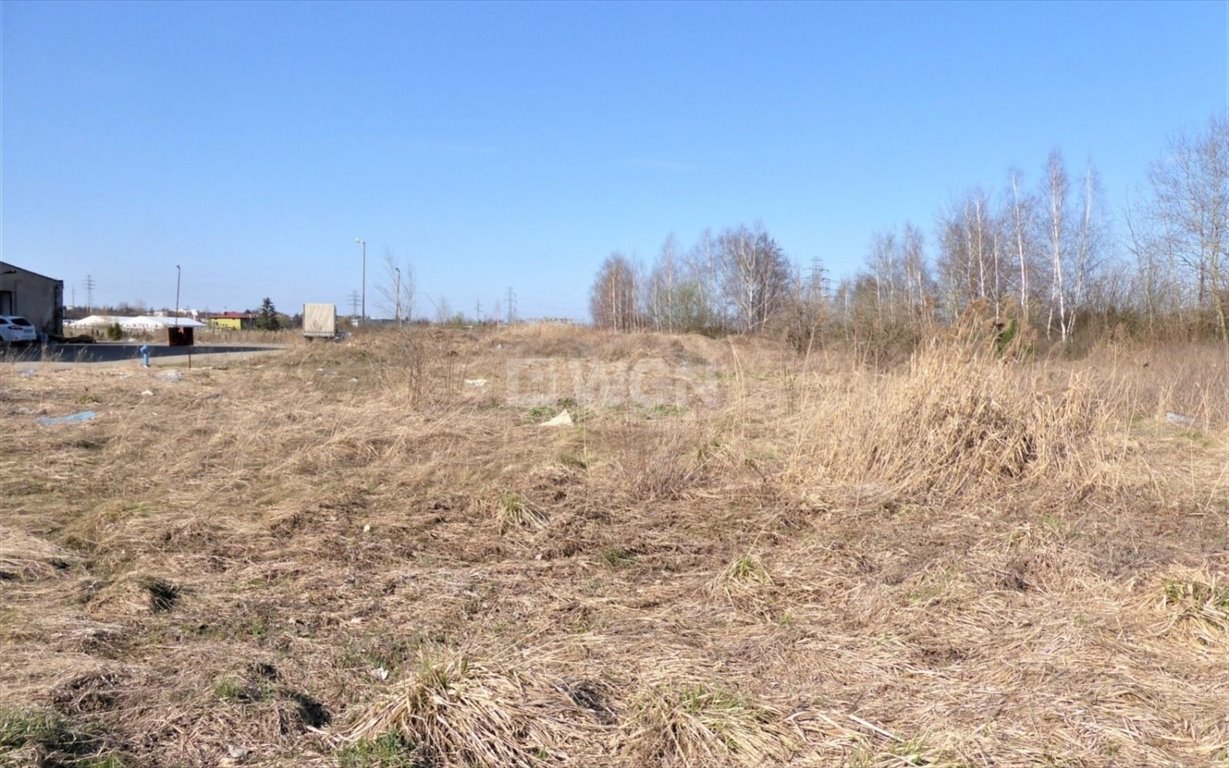 Działka inwestycyjna na sprzedaż Wrzosowa, Wrzosowa  5 000m2 Foto 5