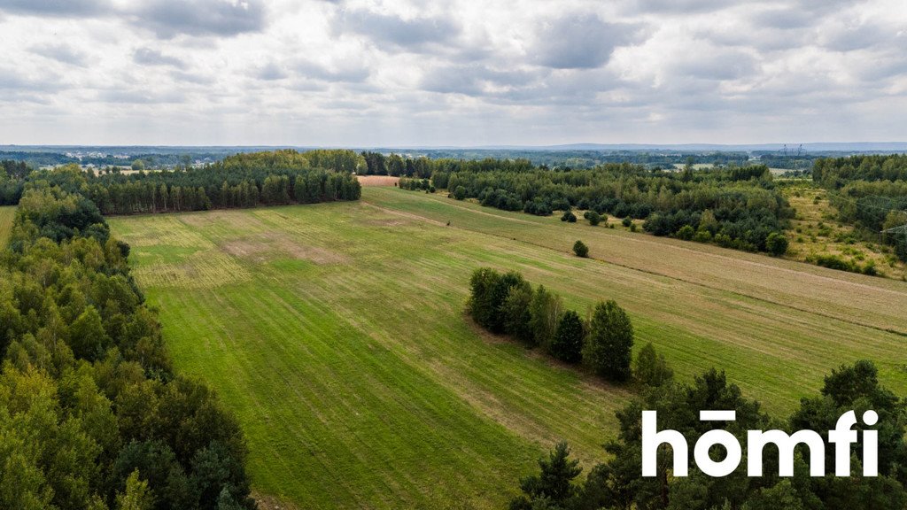 Działka rolna na sprzedaż Zdziechów  45 600m2 Foto 5