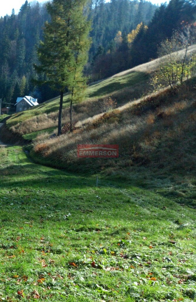 Działka budowlana na sprzedaż Obidza  1 960m2 Foto 3