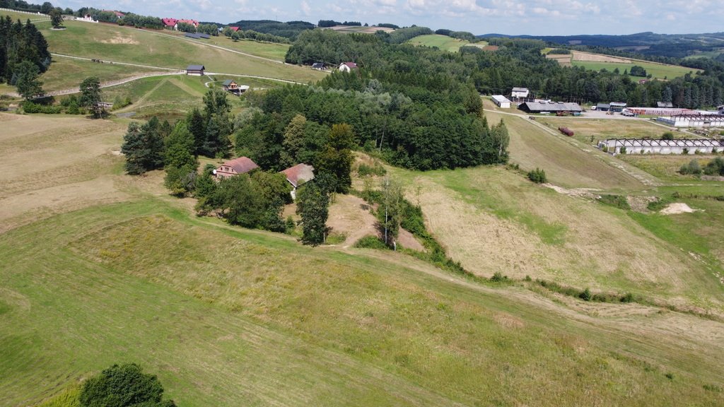 Działka budowlana na sprzedaż Lutcza  107 000m2 Foto 16