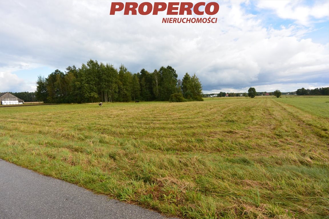 Działka 1,48 ha z dostępem do asfaltu i walorami rekreacyjnymi Antonielów  14 800m2 Foto 1