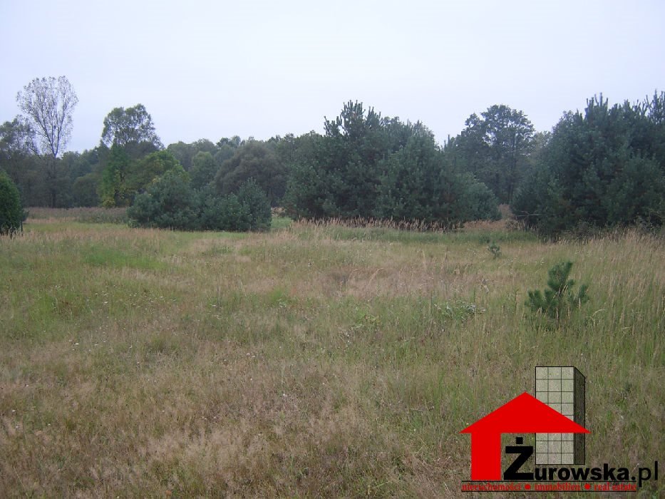 Działka rolna na sprzedaż Pisz, Zdory  1 050 000m2 Foto 1