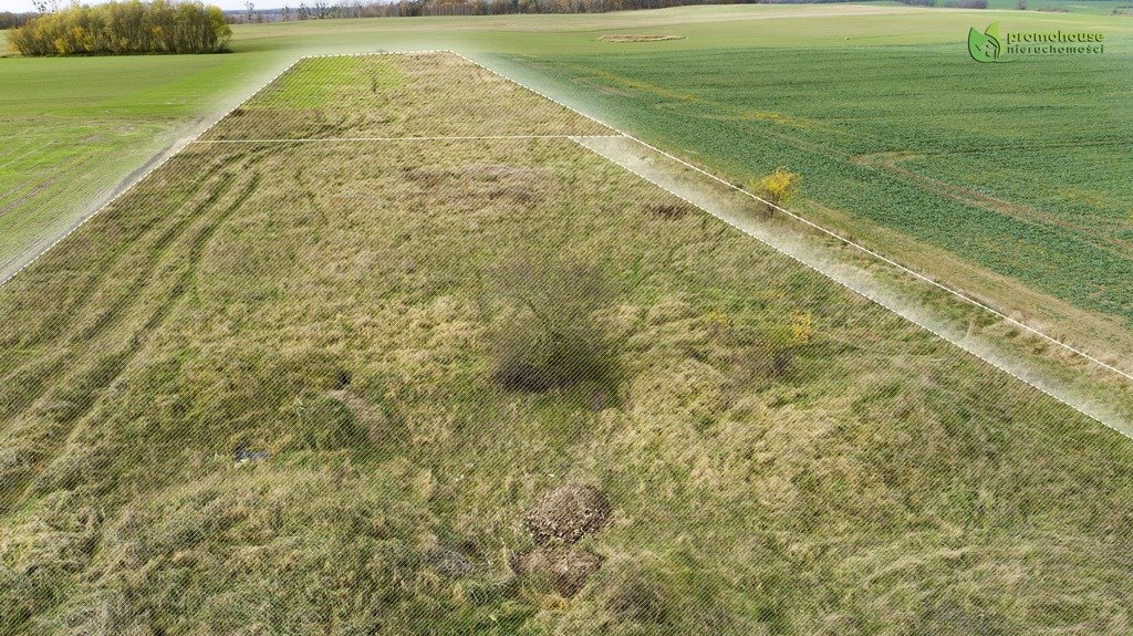 Działka inna na sprzedaż Brzozowo  3 000m2 Foto 6