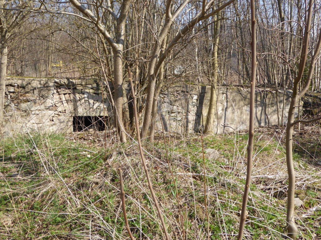 Działka budowlana na sprzedaż Lewin Kłodzki  1 600m2 Foto 1