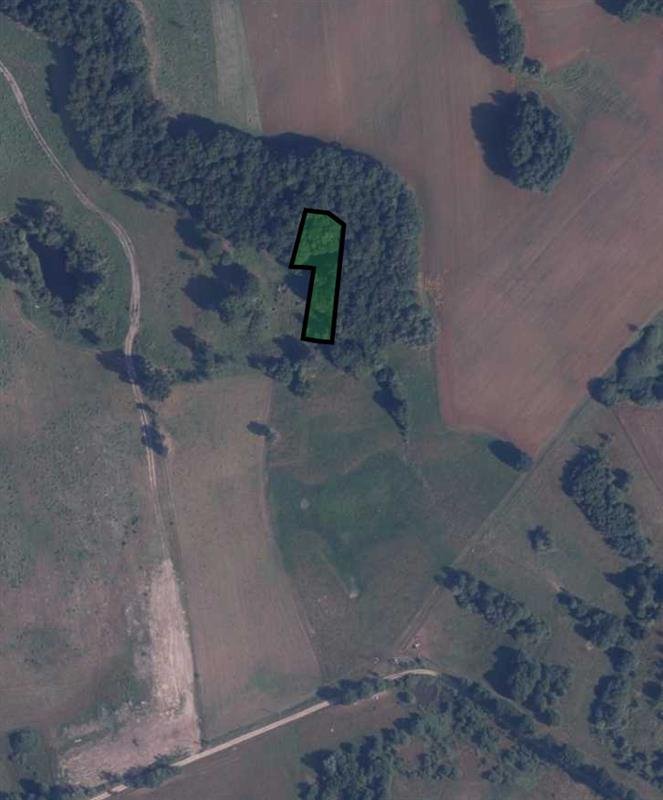 Działka 1500 m² z warunkami zabudowy, las, rzeka Mieszałki, Mieszałki  1 500m2 Foto 1