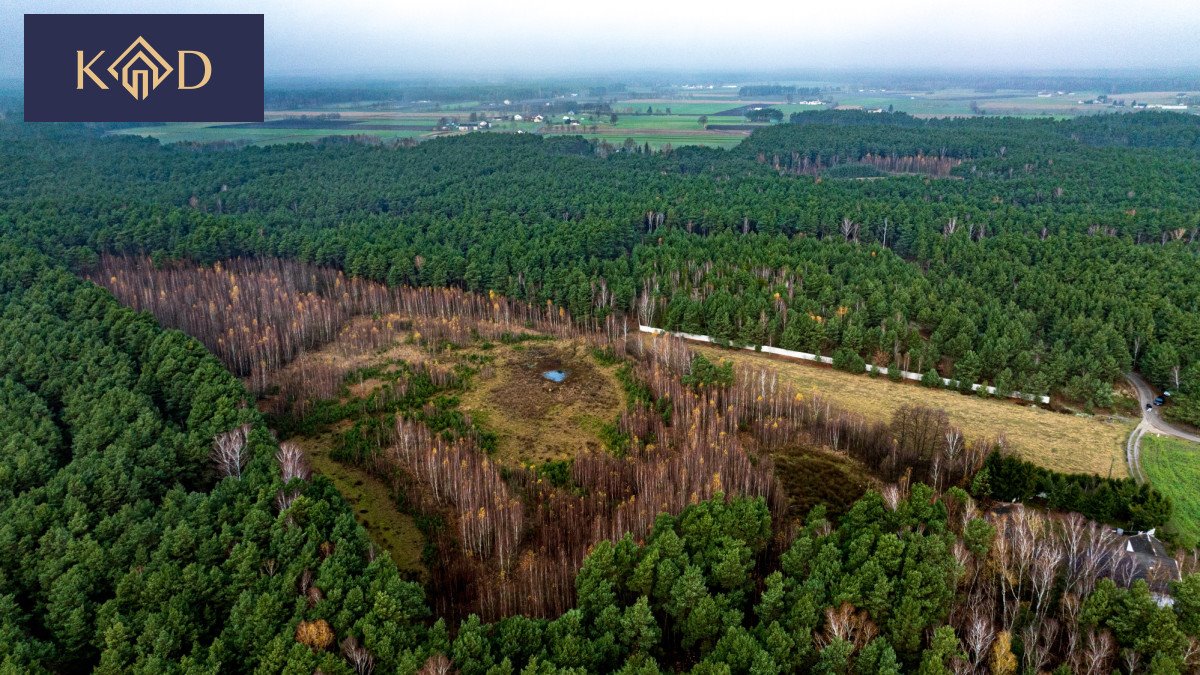 Sprzedam działkę 7622 m² z lasem i stawem w Gizałkach Gizałki-Las  7 622m2 Foto 1