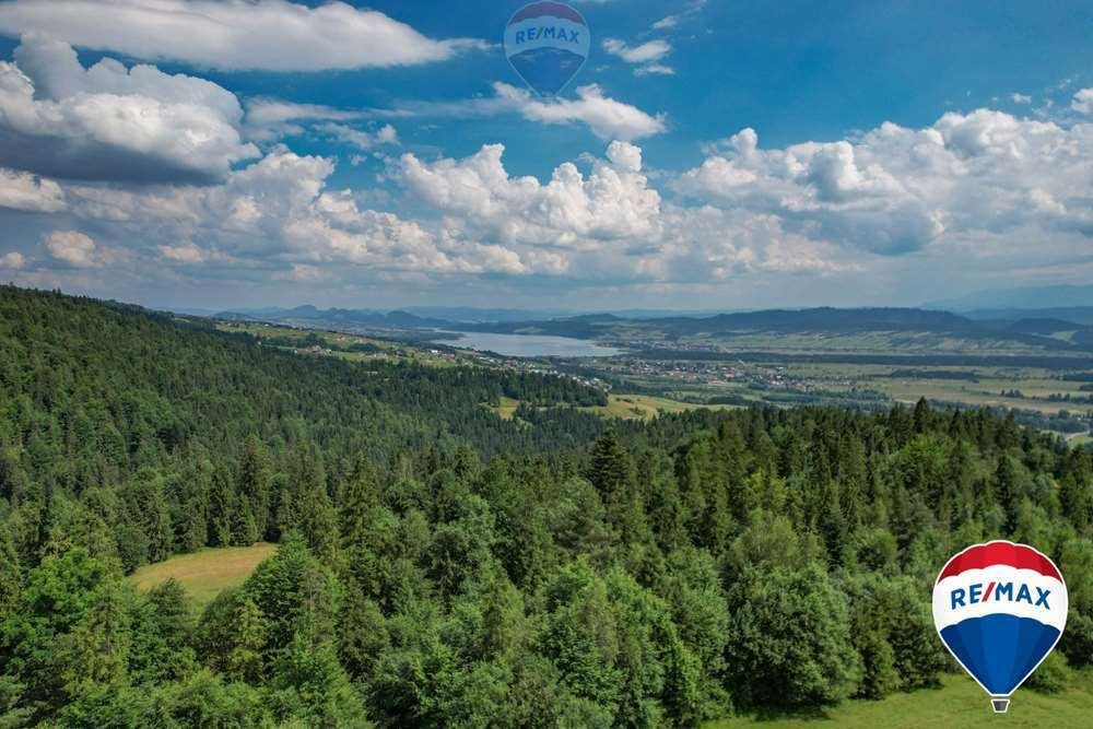 Działka rolna na sprzedaż Knurów  7 103m2 Foto 5