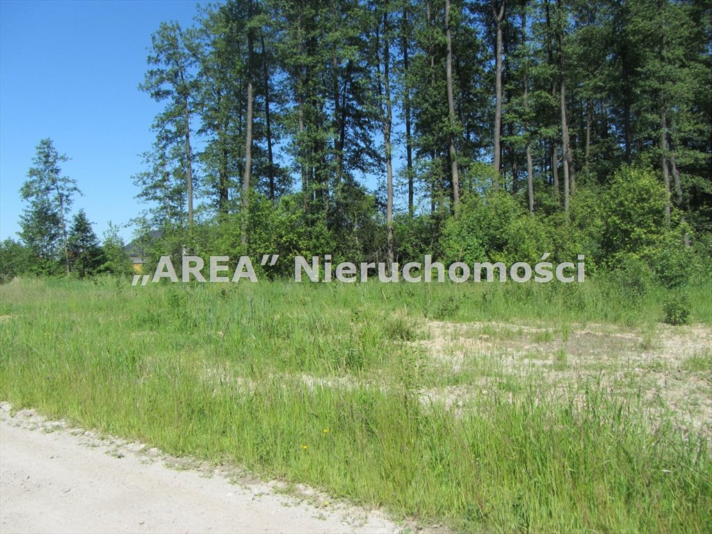 Działka leśna na sprzedaż Białystok, Dojlidy Górne, Kowalska  2 476m2 Foto 2