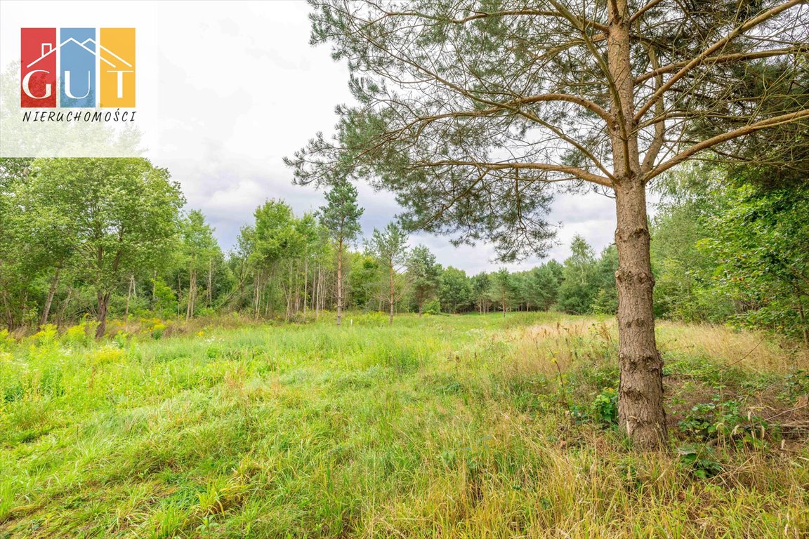 Działka budowlana na sprzedaż Elgnówko  1 200m2 Foto 1