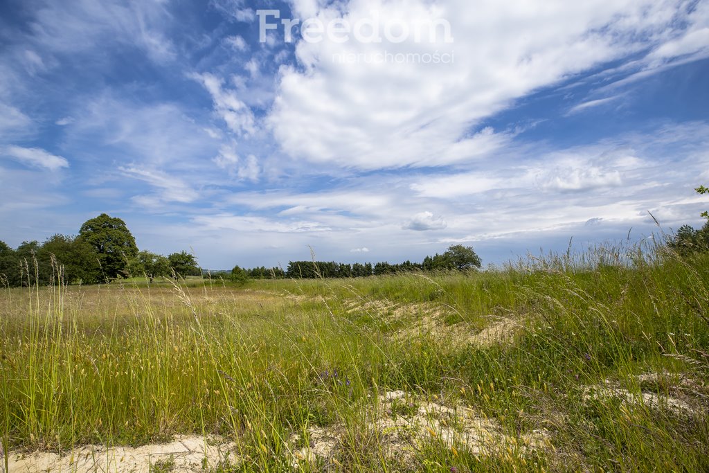 Działka budowlana na sprzedaż Wielopole Skrzyńskie  12 400m2 Foto 10