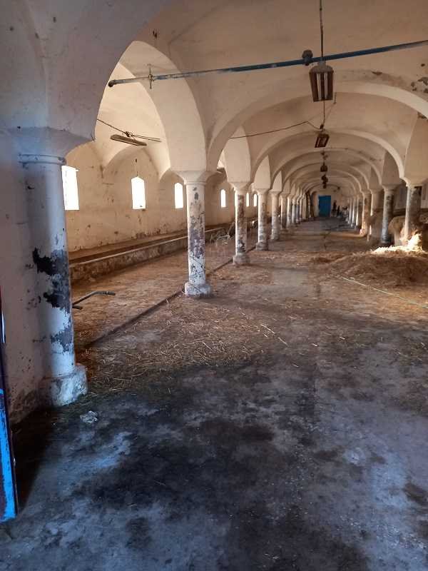 Obiekt gospodarczy 550 m² w Młynicy – własne źródło, park Łagiewniki, Młynica  550m2 Foto 1