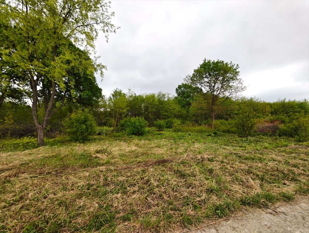 Działka 2554 m² z warunkami zabudowy, media, spokojna okolica Milanówek  2 554m2 Foto 1
