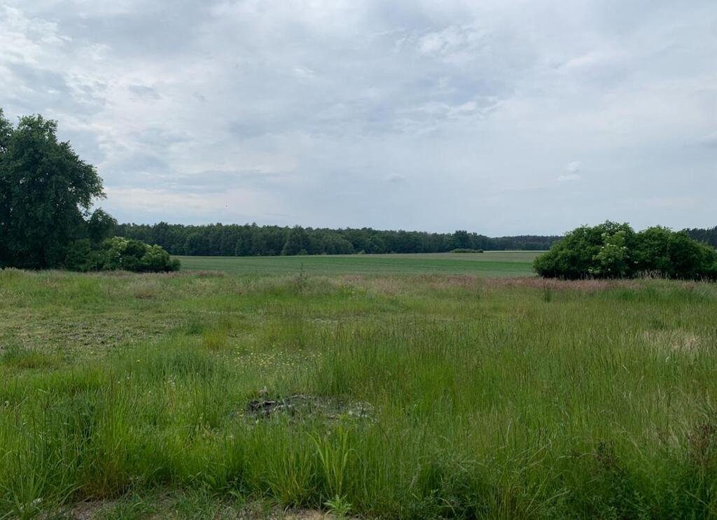 Działka budowlana na sprzedaż Dobra Nadzieja  23 654m2 Foto 1