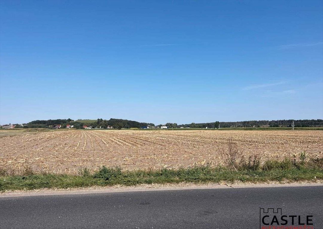 Działka budowlana na sprzedaż Gostyń  56 000m2 Foto 10