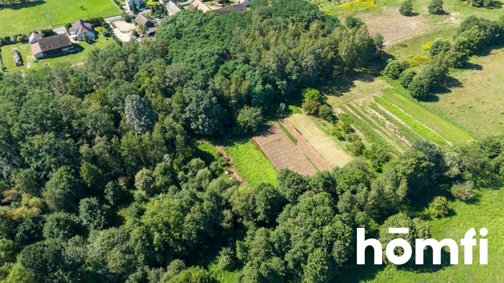 Działka inna na sprzedaż Masłowiec  3 000m2 Foto 3