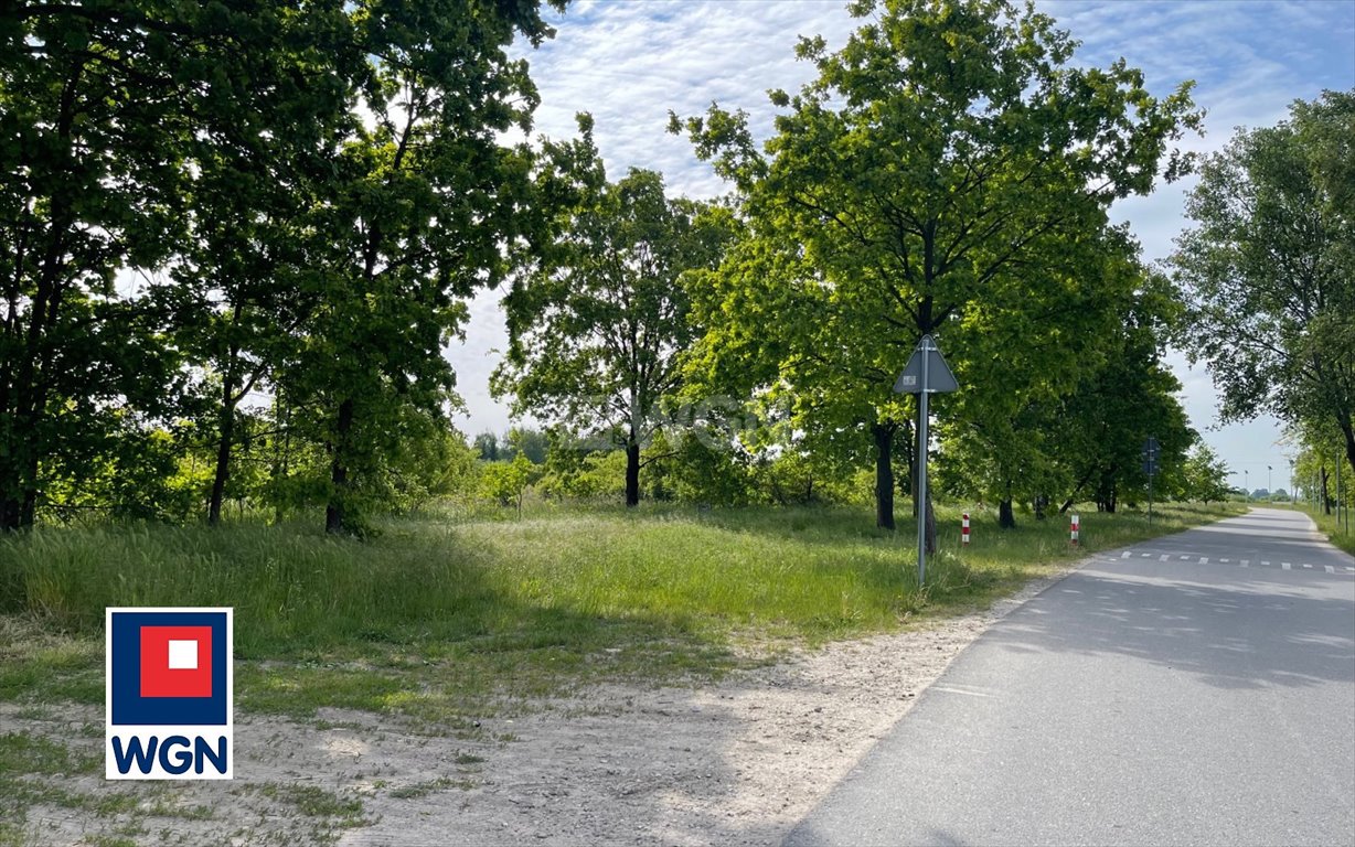 Działka budowlana na sprzedaż Kotowice, Kotowice, Kotowice  4 566m2 Foto 1