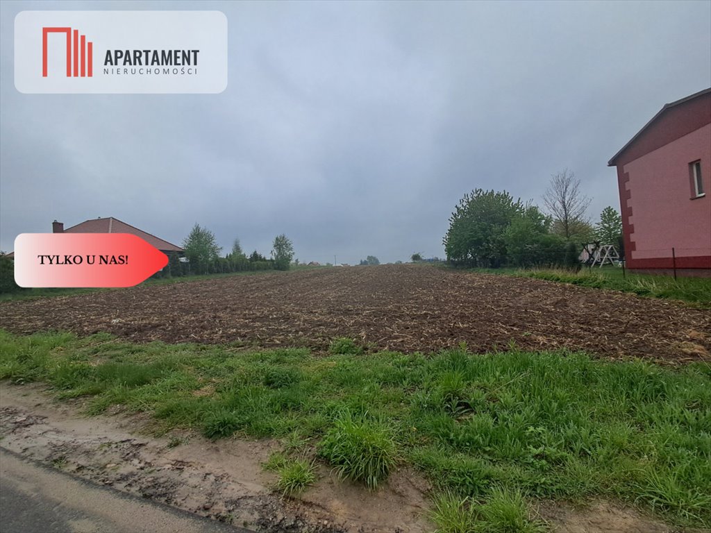 Do sprzedania działka 3000 m² z mediami w Wińsku Wińsko  3 000m2 Foto 1