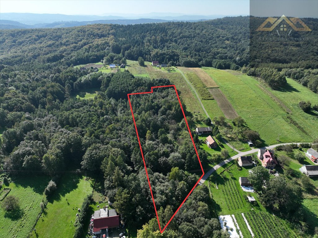 Działka z lasem i WZ pod dom w Milówce – 13 400 m² Milówka  13 400m2 Foto 1