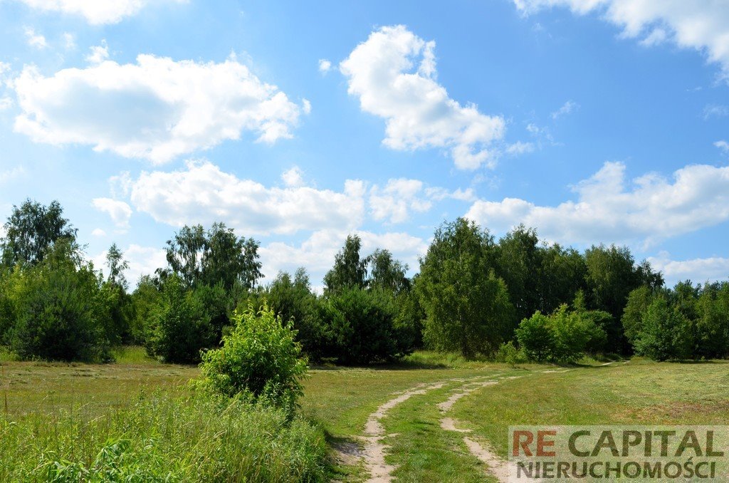 Działka rolna na sprzedaż Wojcieszyn  3 831m2 Foto 2