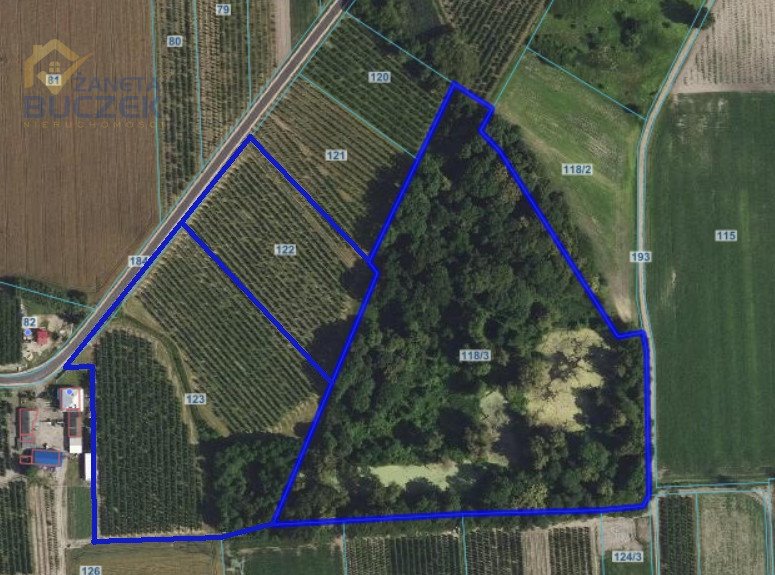 Działka inwestycyjna 6,6 ha z sadami i stawami - polecam Sadowo  65 000m2 Foto 1