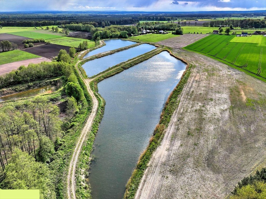 Działka inwestycyjna na sprzedaż Wziąchowo Małe  130 892m2 Foto 10