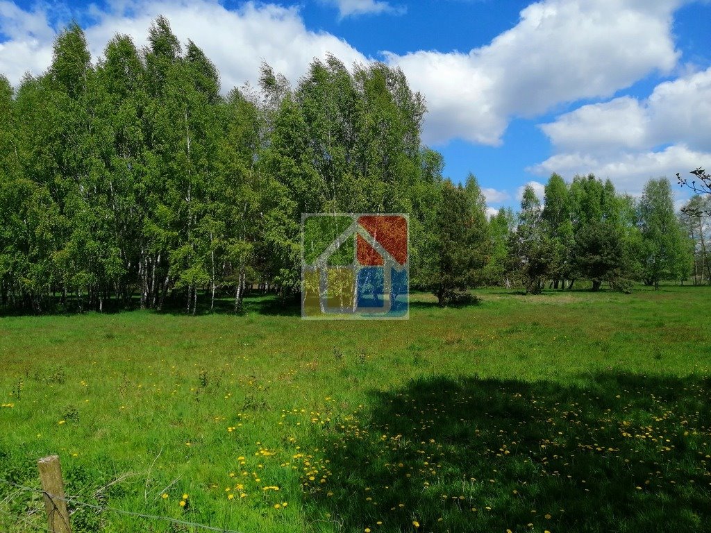 Malownicza działka 47 911 m² z lasem i pastwiskami Szczawin Kościelny  47 911m2 Foto 1