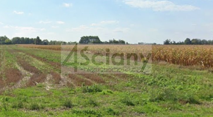 Zapraszam do zakupu działki 1000 m² w Nowych Faszczycach Nowe Faszczyce  1 000m2 Foto 1