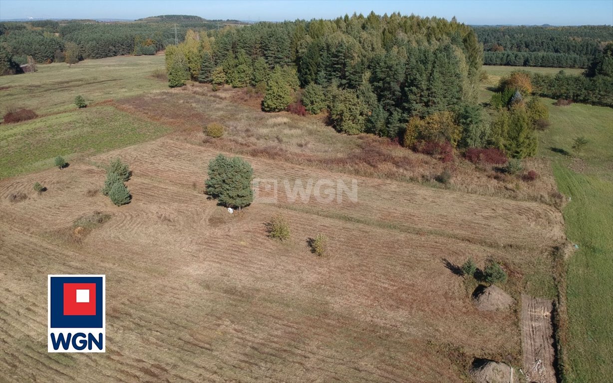 Działka budowlana na sprzedaż Luszowice, Okradziejówka, Mokra  1 460m2 Foto 4