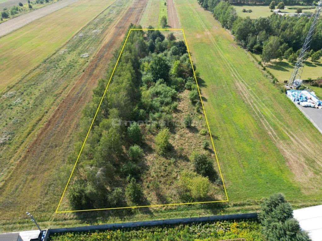 Działka inna na sprzedaż Dobrzyń  8 300m2 Foto 1