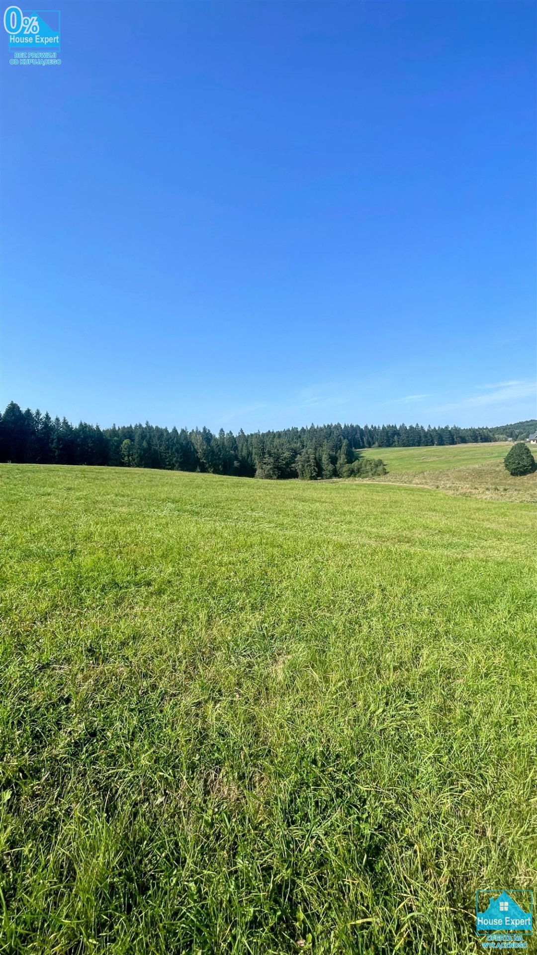 Działka inna na sprzedaż Krynica-Zdrój, Kopciowa  5 100m2 Foto 3