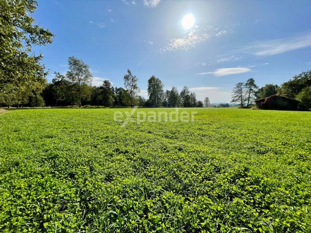 Działka inwestycyjna na sprzedaż Chybie, św. Huberta  20 487m2 Foto 1