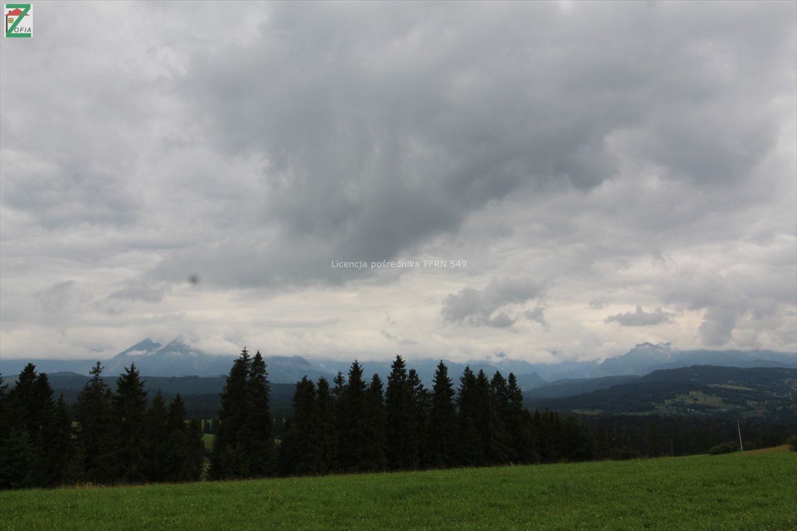 Działka rolna na sprzedaż RZEPISKA  3 500m2 Foto 5