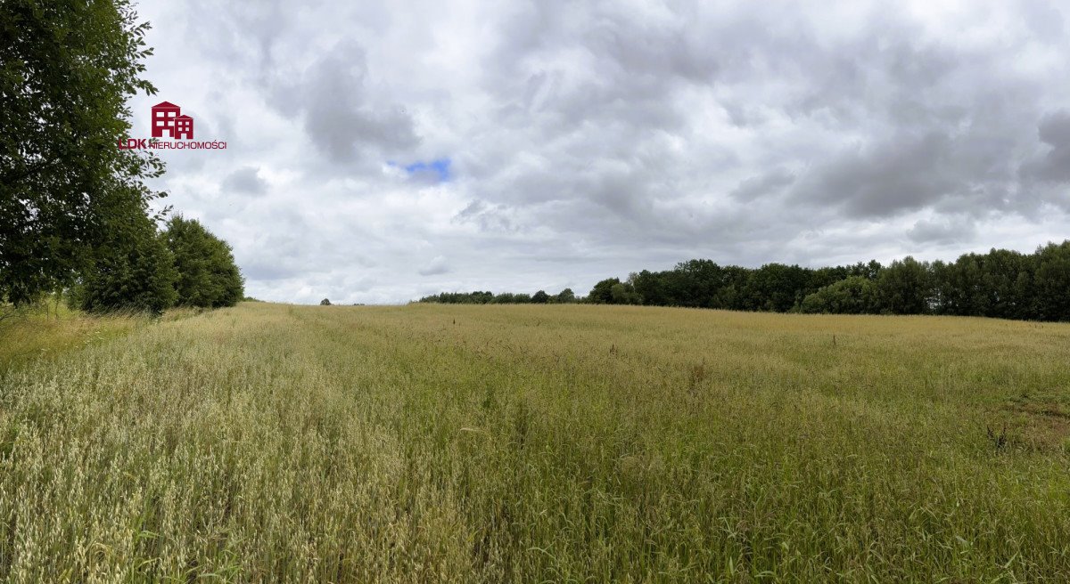 Działka siedliskowa na sprzedaż Mierzeszyn, Gdańska  16 681m2 Foto 2