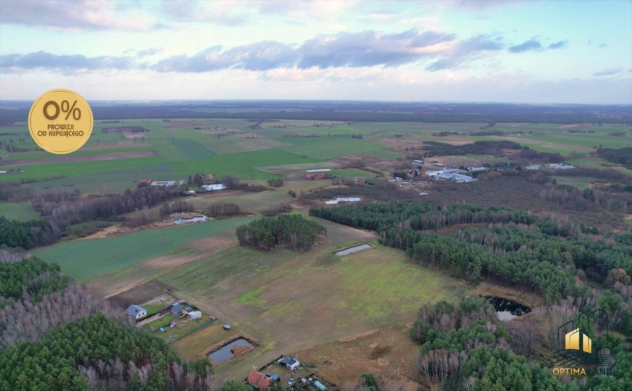 Działka gospodarstwo rolne na sprzedaż Potrzanowo  67 079m2 Foto 5