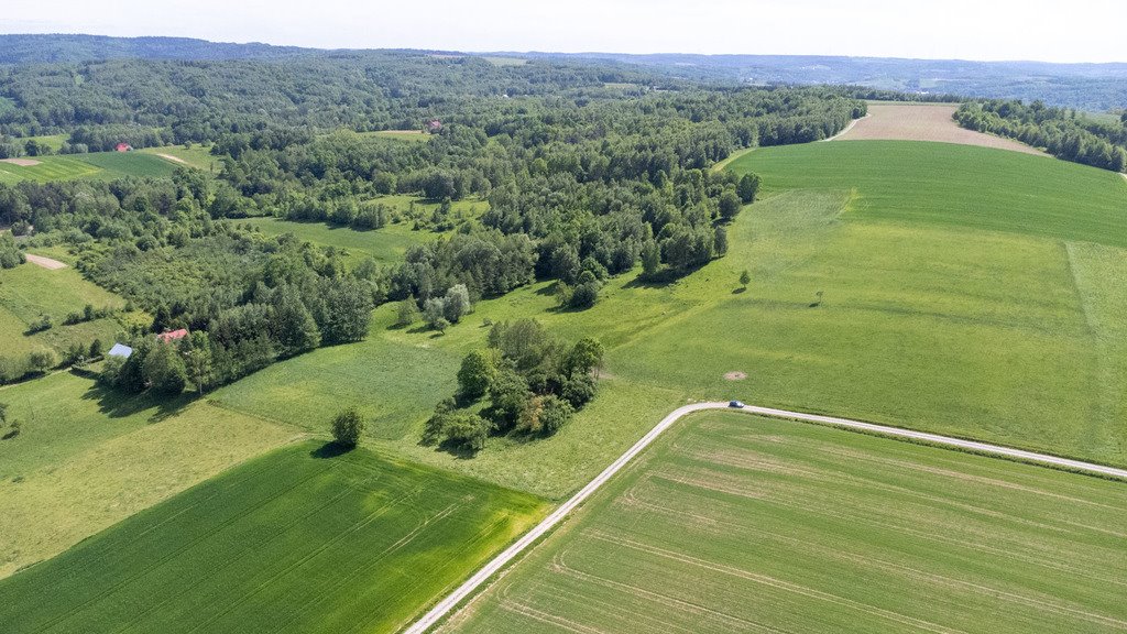 Działka budowlana na sprzedaż Nowy Borek  10 155m2 Foto 8