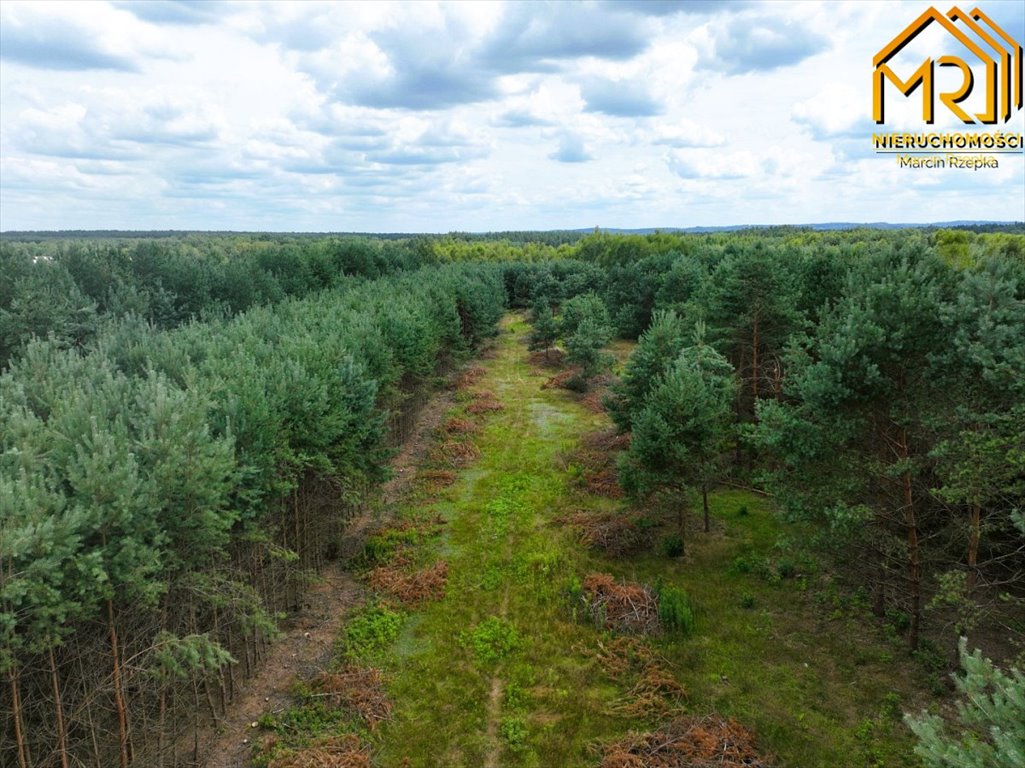 Działka inna na sprzedaż Żdżary  1 200m2 Foto 5