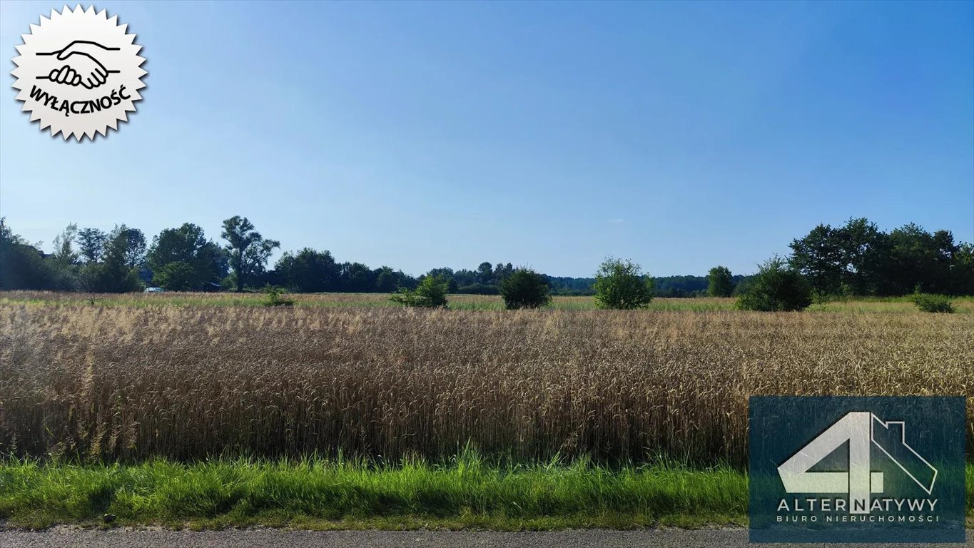 Działka budowlana na sprzedaż Szarwark  1 900m2 Foto 4